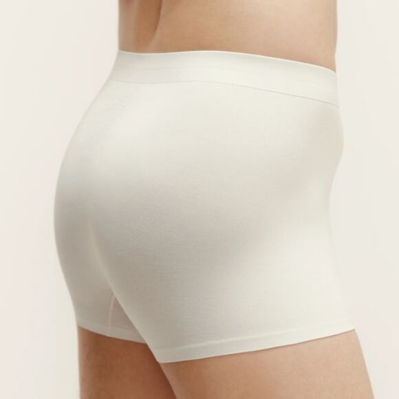 NEW Neiwai Men's Model Boxer Brief 2.0 Two Piece Set In Tealeaf Brown And White - Picture 7 of 13